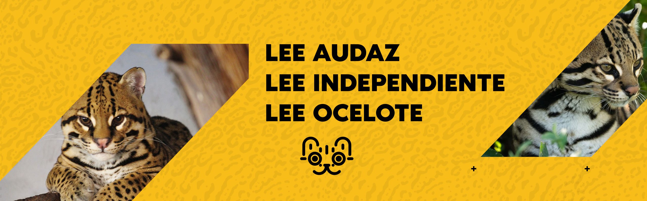 23 de abril: Día del Libro (y la rebeldía)