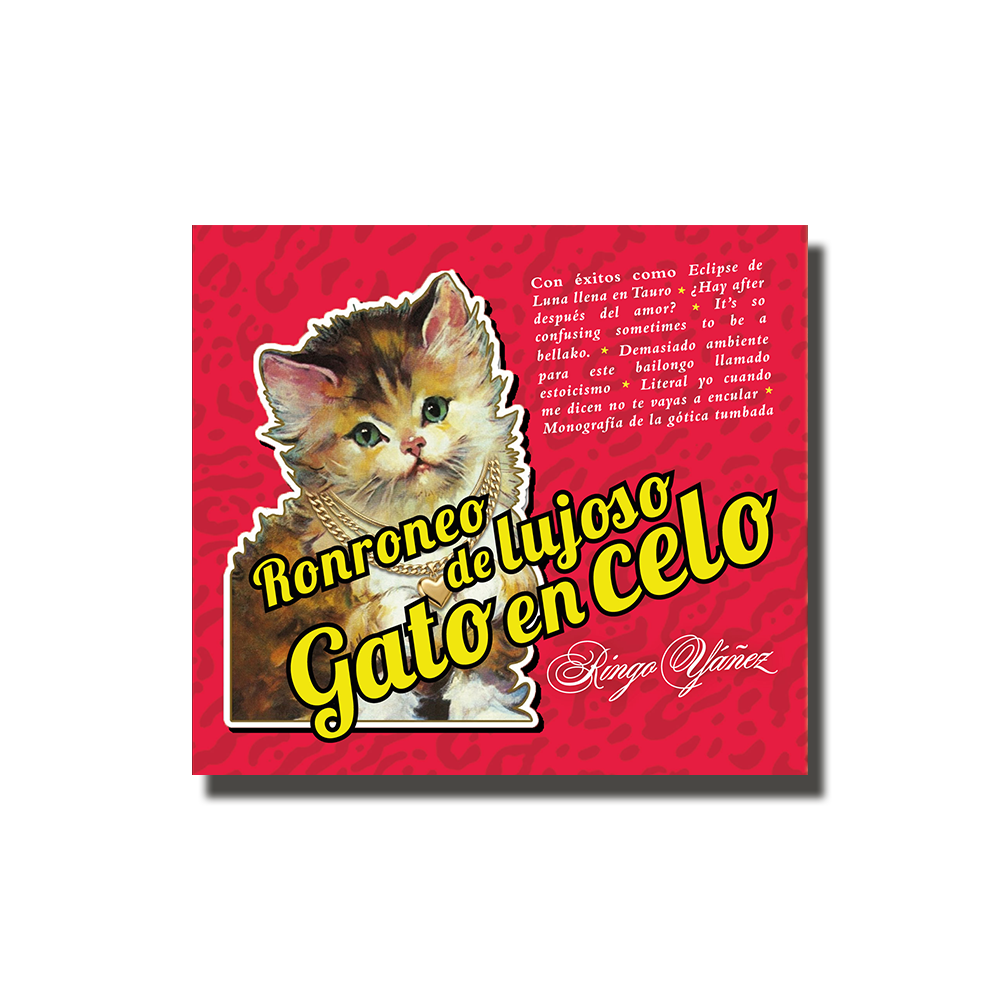 Ronroneo de lujoso gato en celo